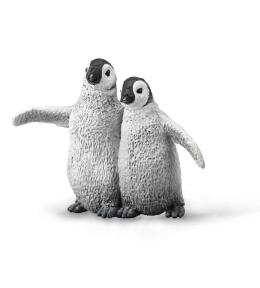 Pingwin Cesarski młode