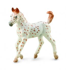 Źrebię Knabstrupper