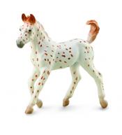 Źrebię Knabstrupper