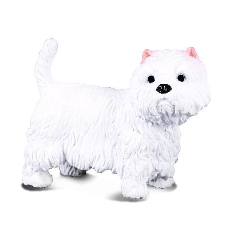 Pies terier west highland