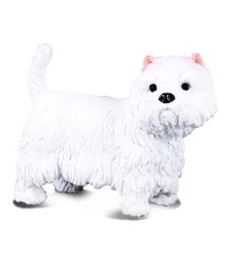 Pies terier west highland