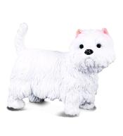 Pies terier west highland