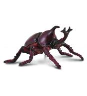 Rohatyniec nosorożec