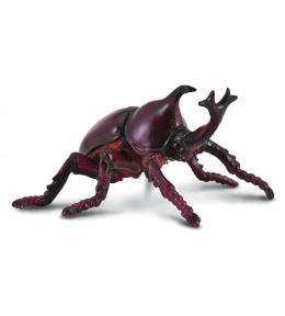 Rohatyniec nosorożec