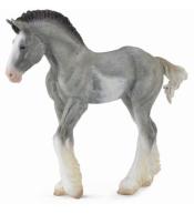 Źrebię Clydesdale Foal Blue Roan