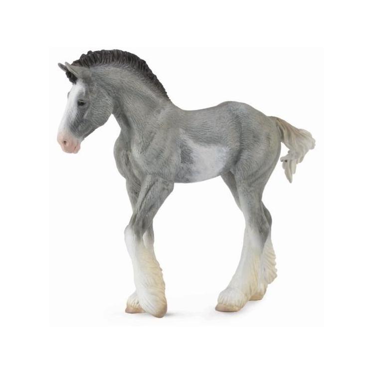 Źrebię Clydesdale Foal Blue Roan
