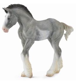 Źrebię Clydesdale Foal Blue Roan