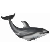 Delfin Pacyfic