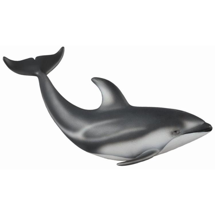 Delfin Pacyfic