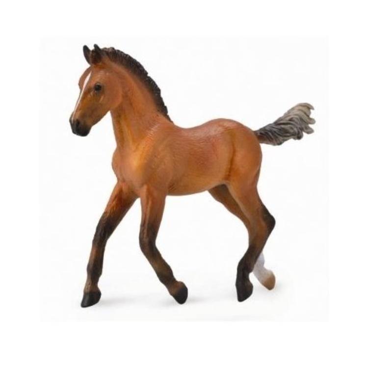 Źrebię rasy Hanowerski