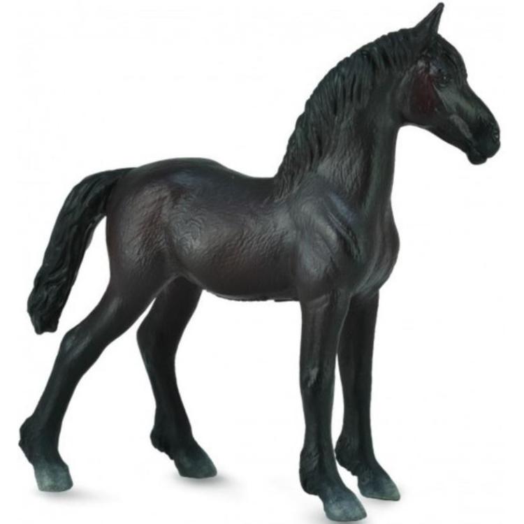 Źrebię Friesian Foal czarne