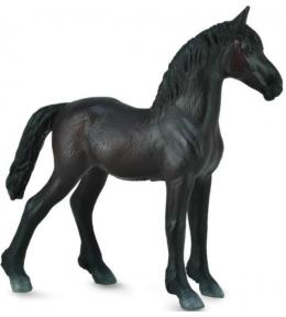 Źrebię Friesian Foal czarne