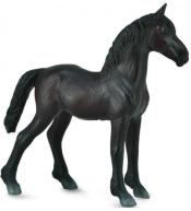 Źrebię Friesian Foal czarne