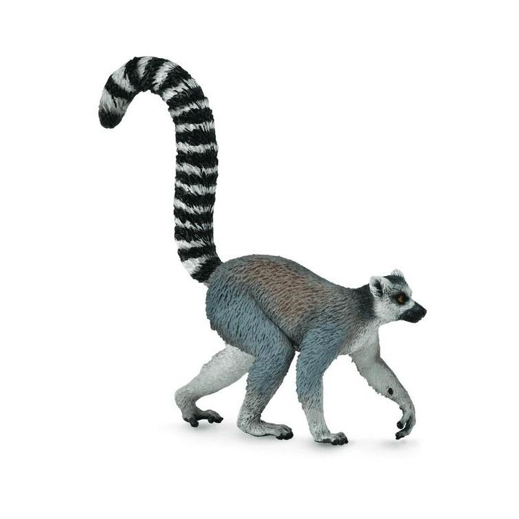 Ring-Tailed Lemur