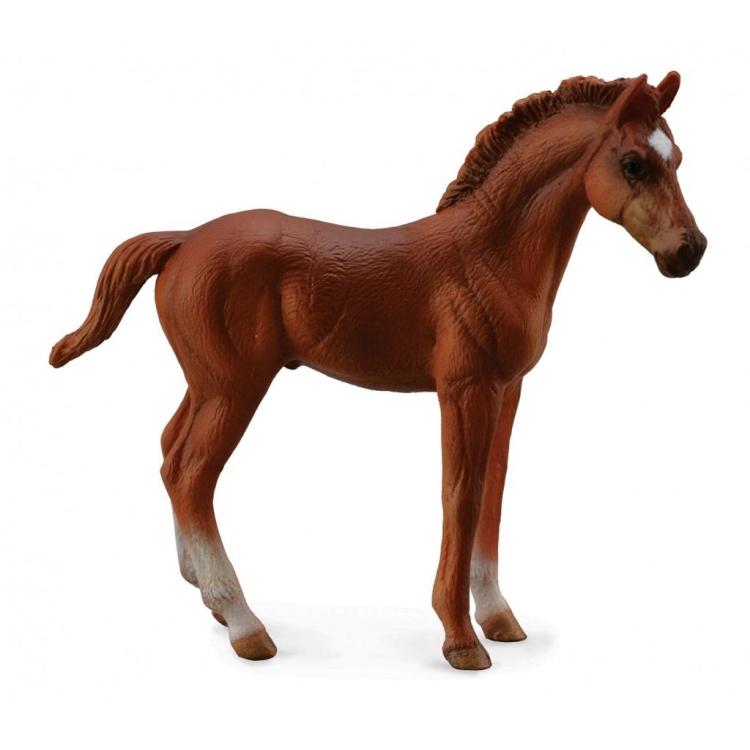 Źrebię Thoroughbred Foal Standing Chesnut