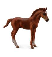 Źrebię Thoroughbred Foal Standing Chesnut