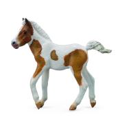 Źrebię rasy Dartmoor Hill