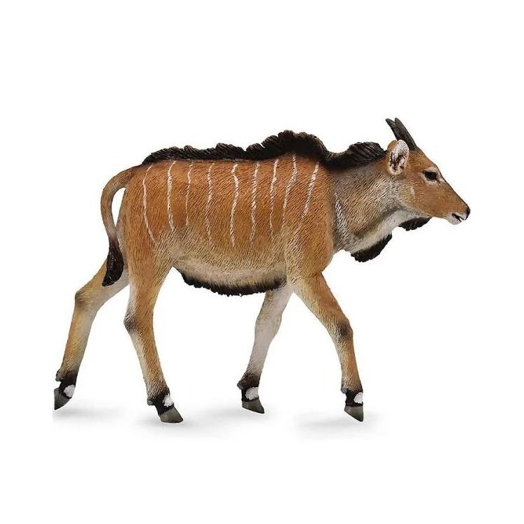 Antylopa Eland cielę