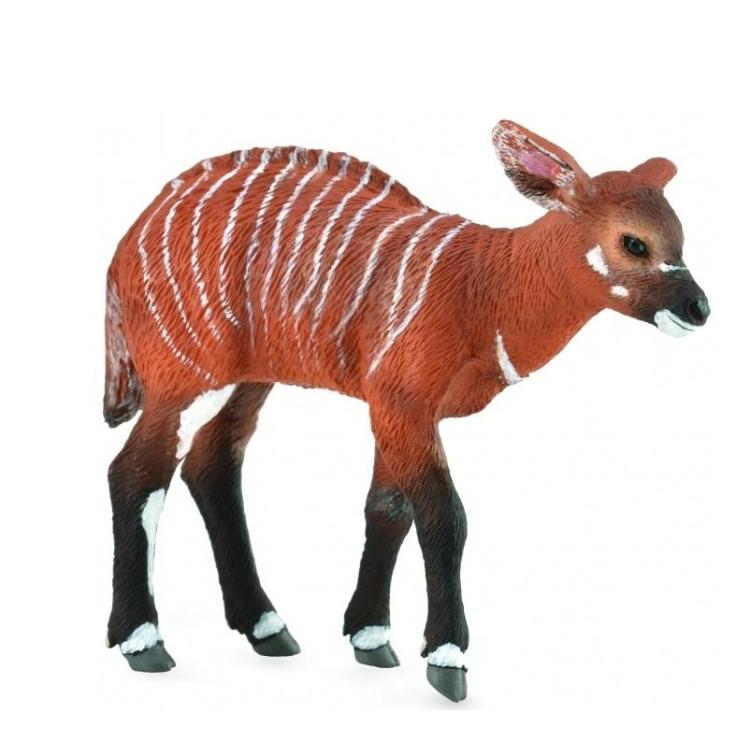 Krowa Bongo