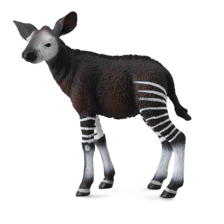 Okapi cielę
