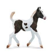 Źrebię rasy Bashkir Curly