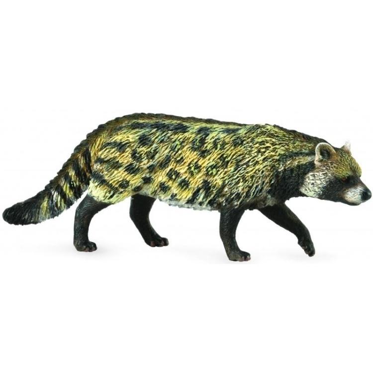 Kot Wiwera Civet African