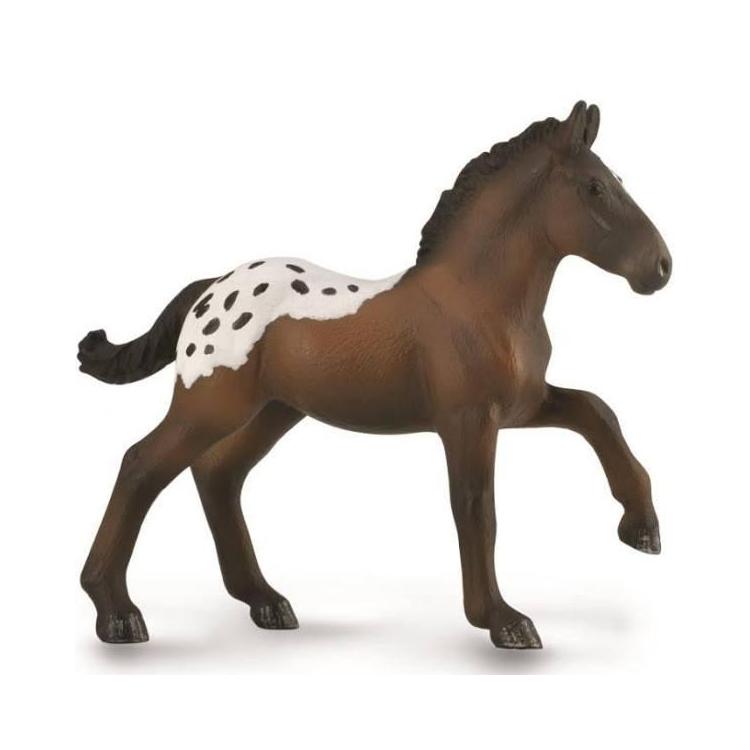 Źrebię Sugarbush Draft