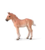 Noriker kasztanowy źrebak