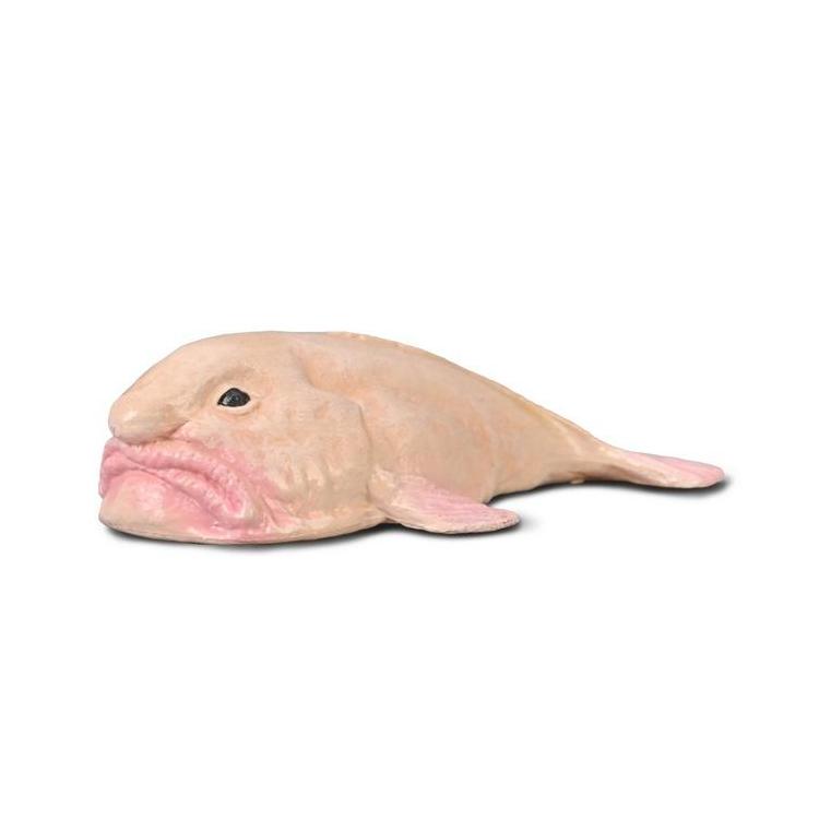 Blobfish