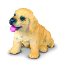 Pies golden retriever szczeniak