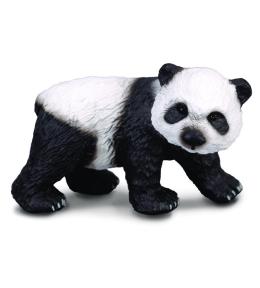 Niedźwiadek pandy wielkiej stojący