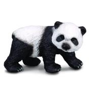 Niedźwiadek pandy wielkiej stojący