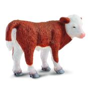 Cielę stojące rasy hereford