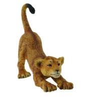 Lwiątko przeciągające się