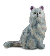 Kot perski siedzący