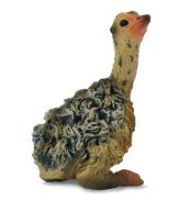 Struś młody siedzący