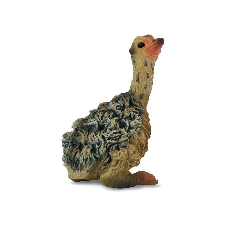 Struś młody siedzący