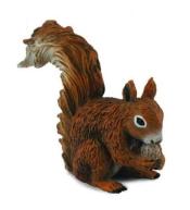 Wiewiórka czerwona jedząca