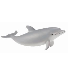 Delfin butlonosy młody