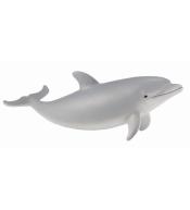 Delfin butlonosy młody