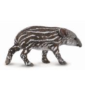 Tapir cielę bairda