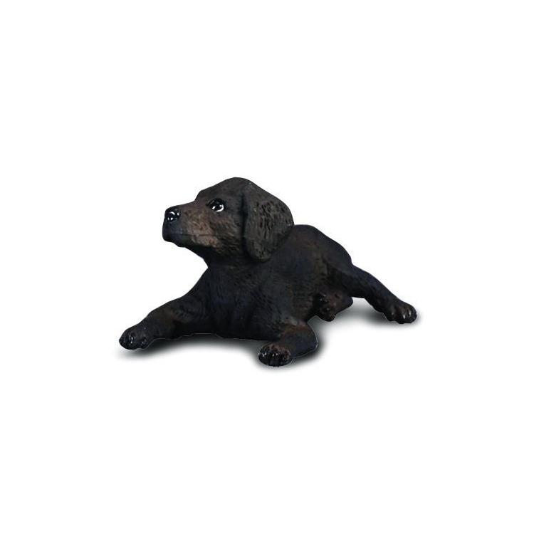 Pies labrador szczęnię