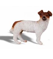 Pies Jack Russell Terier