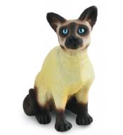 Kot Syjamski siedzący