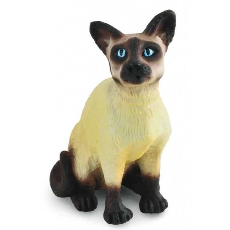 Kot Syjamski siedzący