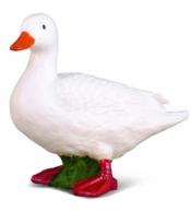 Kaczka biała