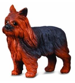 Pies Yorkshire Terier