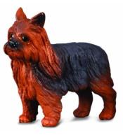 Pies Yorkshire Terier