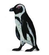 Pingwin przylądkowy