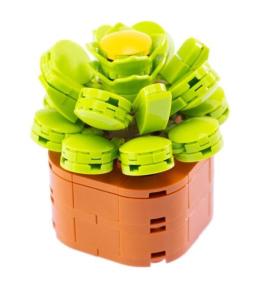 Klocki Mini Kwiaty Aeonium 136el